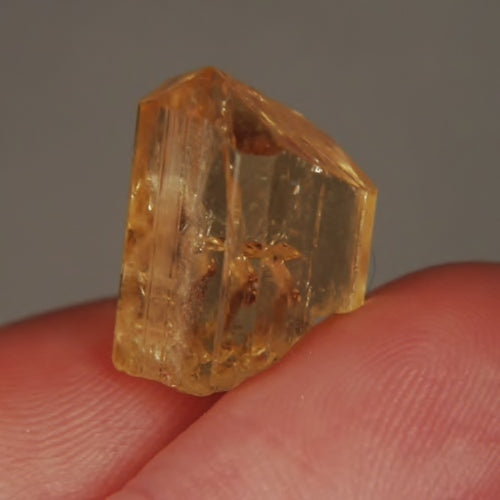 Collectors Quality! Golden Scapolite Crystal Tanzania