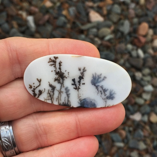 All Natural! Fine Quality Dendritic Agate India