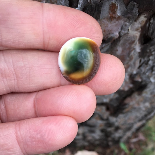 Natural Thompsonite (Zeolite) — 16.00 ct, Lake Superior, Minnesota