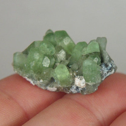 Fine Peridot Crystal Mineral Specimen Pakistan