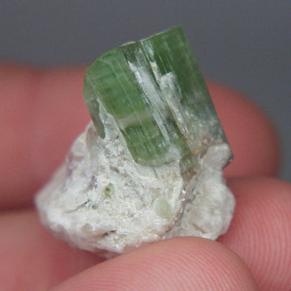 Collectors Tourmaline Crystal Specimen Afghanistan