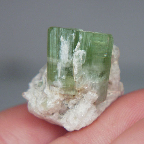 Collectors Tourmaline Crystal Specimen Afghanistan