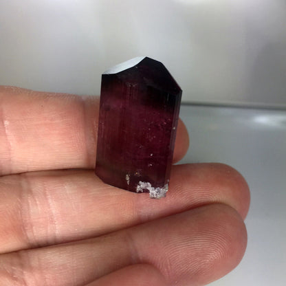 Collectors Tourmaline Crystal With Leopoldite Afghanistan GL