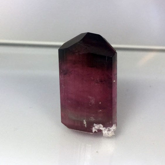 Collectors Tourmaline Crystal With Leopoldite Afghanistan GL