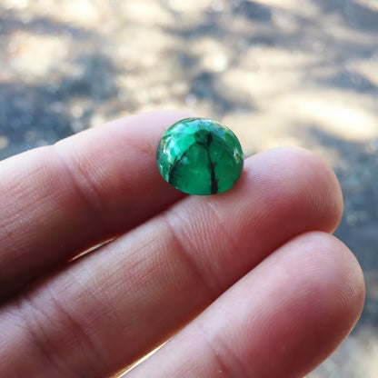 Rare! Big Natural Muzo Mine Colombia Trapiche Emerald 10.05 ct GL