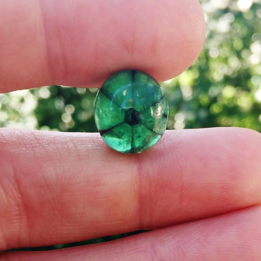 Rare! Big Natural Muzo Mine Colombia Trapiche Emerald 10.05 ct GL