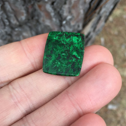 Big & Fine Color! Natural Burmese Mawsitsit Jade 20.21 ct