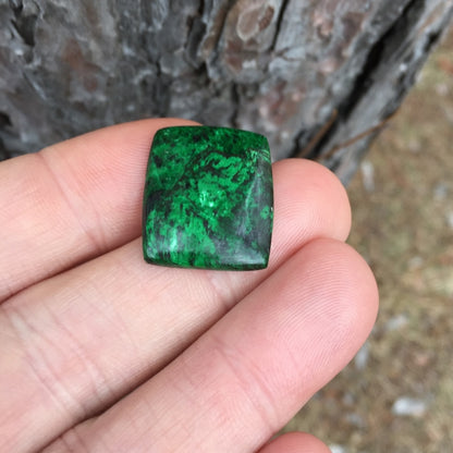 Big & Fine Color! Natural Burmese Mawsitsit Jade 20.21 ct