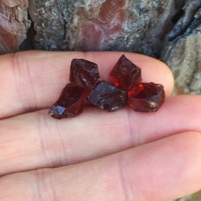 Quality! Pyrope Garnet Facet Rough Tanzania 34.79 Carat TW