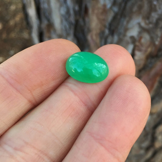 Premium Gem Color Australia Chrysoprase 6.01 Carats